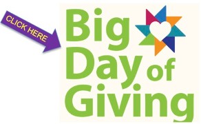 Donate button for Big Day of Giving