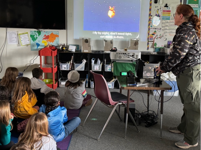 First grade students watching bat presentation. First grade students watching bat presentation.